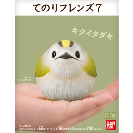 日本 BANDAI 正版盒玩 小鳥 掌上好朋友 7 第七彈 單售 09 戴菊 全新未拆 鸚鵡 鳥