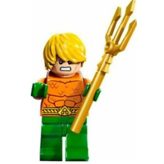 玩樂趣 LEGO樂高 76000 Aquaman 二手人偶 (sh050)