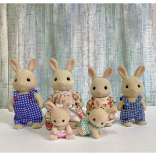 Sylvanian Family 森林家族 二手 絕版兔 ㄧ家六口 寶寶 趴寶 坐寶 牛奶兔一家 牛奶兔 人偶