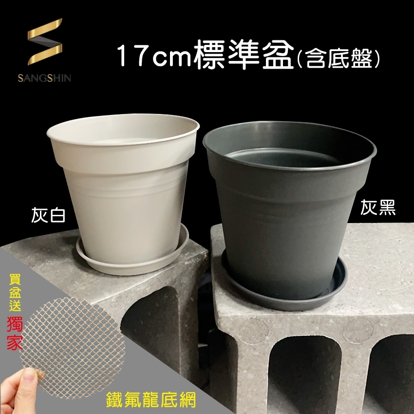 【上興材料】Ø17cm 花盆 盆器 盆栽 園藝資材 塑膠盆 水盤 蔓綠絨 龜背芋 觀音蓮 多肉