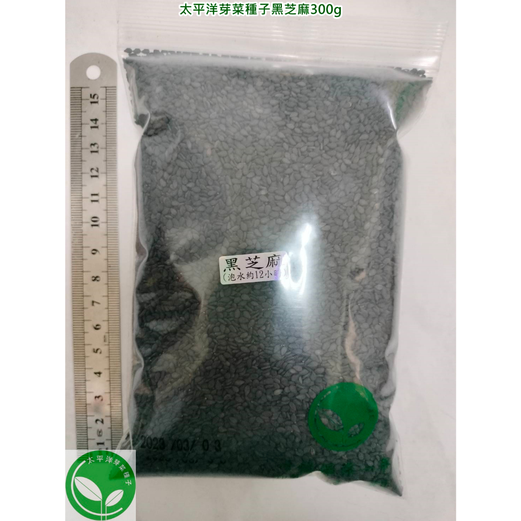 【太平洋芽菜種子】黑芝麻種子300g-波利維亞進口-約75000顆-可水耕/土耕/煮食/榨油-三日苗/綠拿鐵/生菜種子