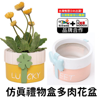WINE臺灣惟恩 微景觀 模擬禮物盒多肉花盆 禮物盒 蝴蝶結 四葉草 花盆 多肉 盆栽 花瓶