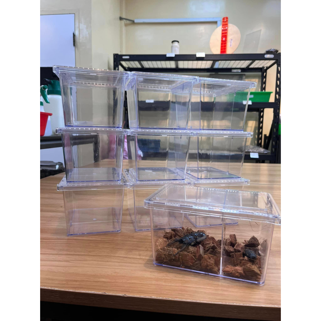 [甲蟲用品] 5個以上蝦皮店到店免運 滑蓋飼養盒  甲蟲飼養盒 防蟲  貝殼箱 可養一對or兩隻