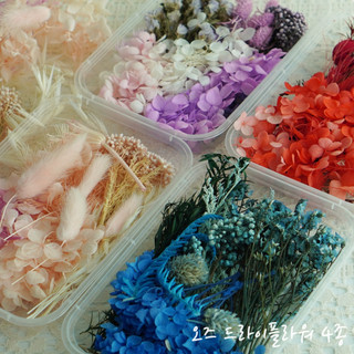 OZ-MD1 乾燥花材料包 永生花DIY 乾燥花材料 永生花盒
