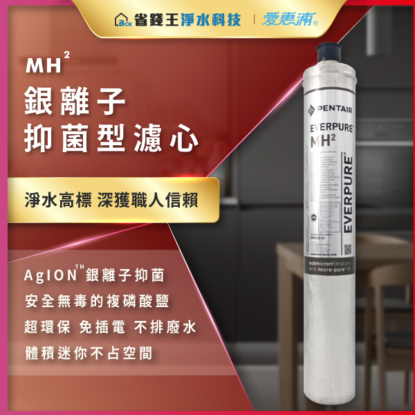 EVERPURE 愛惠浦  台灣原廠公司貨 金色雷射標籤 MH2 濾芯 抑制水垢專用濾心