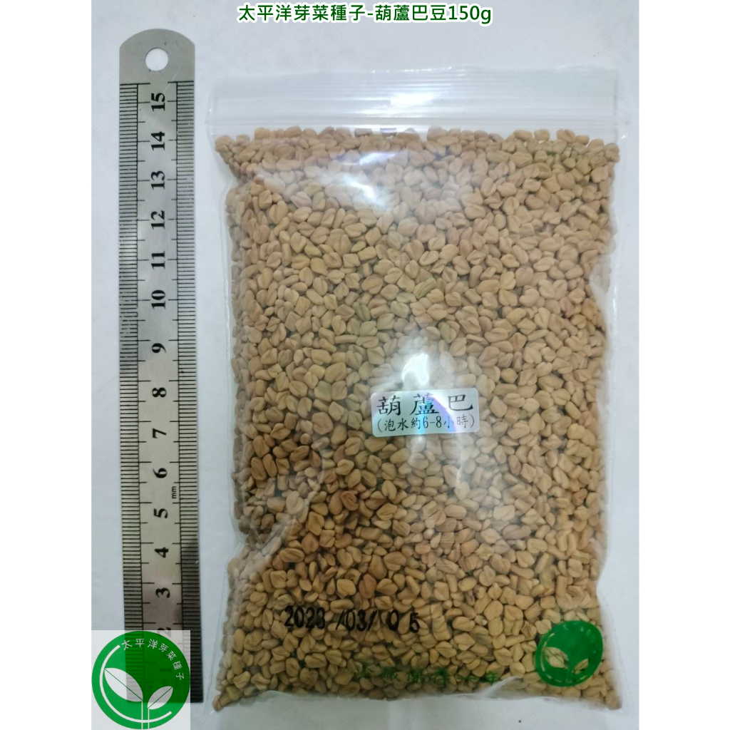 葫蘆巴豆種子150g-印度-約9000顆-可水耕/土耕/煮食/泡茶-85%以上高發芽率-芽菜種子/生菜種子/芽苗菜種子