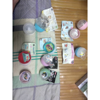 [隨便清]藏壽司 扭蛋 鬼滅之刃/角落生物/BT21 CHIMMY&MANG/壽司寵物/柯南/三麗鷗/蠟筆小新