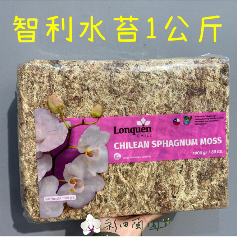【彩田蘭園】🔥智利水苔1公斤🔥超殺價格蘭花、鹿角蕨、各類植物植栽保持濕專用