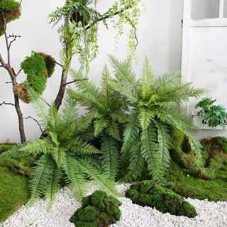 🌿模擬手感蕨類🌿植物 波斯草 家居裝飾 植物造景 裝飾植物牆 綠色植物 蕨類 藤蔓 假植物 裝飾品