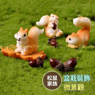 【草葉日和】盆栽裝飾 花盆 模擬小松鼠 生態瓶 松鼠家族 魚缸造景 魚缸 松鼠 辦公室小物 肉植物 微景觀 YES好生活