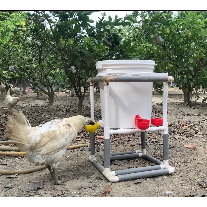 台灣現貨 雞 鴨 鵝 鵪鶉 盧丁雞  自動 喝水 飲水 器 方便輕鬆 補水