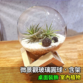 【草葉日和】花器 花盆 微景觀 盆栽 空氣鳳梨 苔蘚 盆栽裝飾 生態瓶 多肉植物 室內植物 玻璃花瓶 花盆 造景 現貨