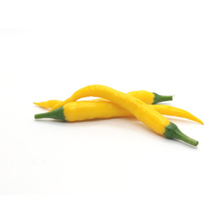 黃金卡宴辣椒種子10顆~Golden Cayenne Pepper~適合觀賞&食用