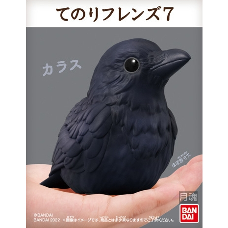 日本 BANDAI 正版盒玩 小鳥 掌上好朋友 7 第七彈 單售 04 烏鴉 全新未拆 鸚鵡 鳥