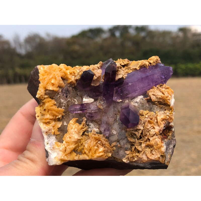 磊晶城水晶館】嚴選天然 納米比亞🇳🇦 紫水晶原礦 Namibia amethyst 納米比亞水晶
