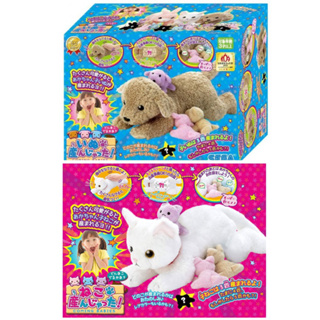 全新 正版 日本 SEGA 生寶寶小寵物 狗狗 貓咪 互動 絨毛玩具 娃娃 小狗 小貓 麗嬰 寵物