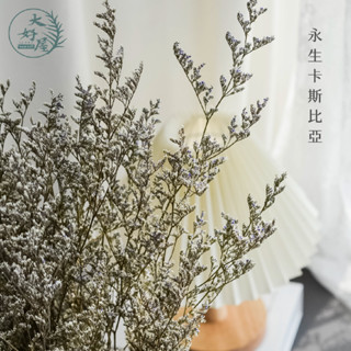 大好屋現貨 永生花 卡斯比亞 永生卡斯比亞 DIY手作 拍攝道具 居家裝飾花材 卡斯比亞 手作花材 花藝設計 居家佈置