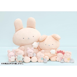 日本進口 San-X 熊熊兔 絨布沙包玩偶娃娃 療癒娃娃 抱枕 兔子娃娃 玩偶 抱枕 毛絨玩具 靠墊 靠枕布偶 生日禮物