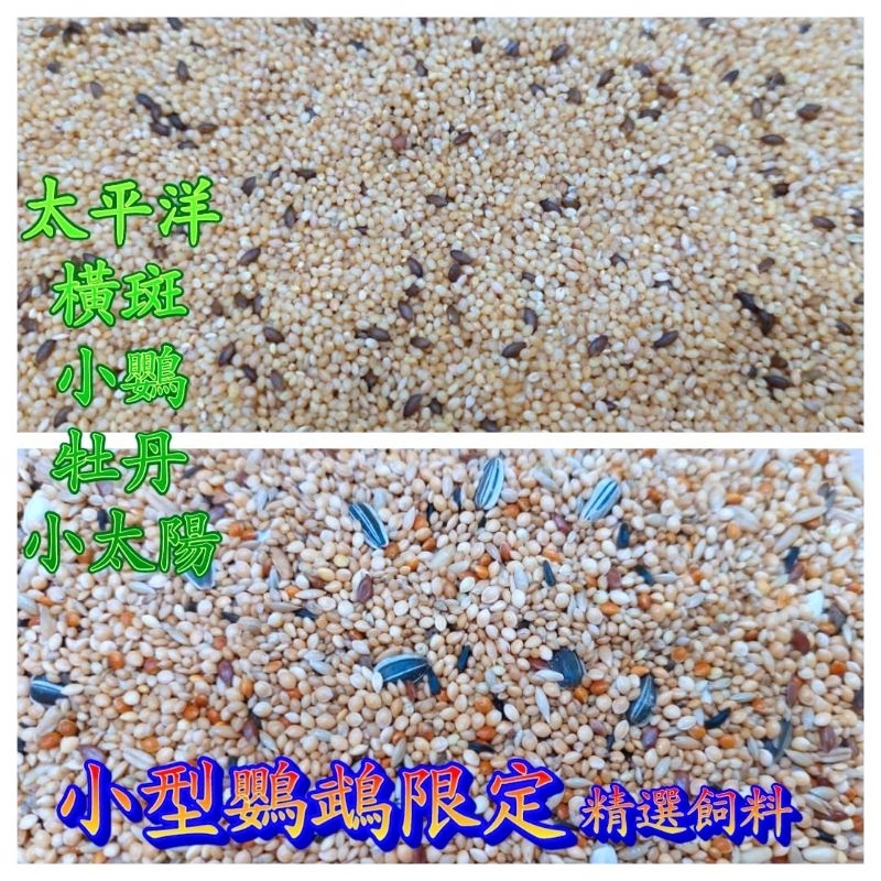 ☆小寵當家☆ 小型鸚鵡有殼經濟日糧 鸚鵡飼料 小鸚飼料 虎皮飼料 牡丹飼料 玄鳳飼料 太平洋飼料  橫斑飼料