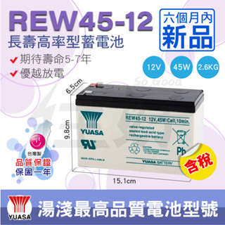 佳好電池 全新含稅 湯淺 REW45-12 12V45W 高率型 UPS不斷電系統 釣魚燈具 小馬達 太陽能 電動玩具車