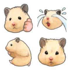 Line國內🇹🇼表情貼∣助六的日常 SUKEROKU