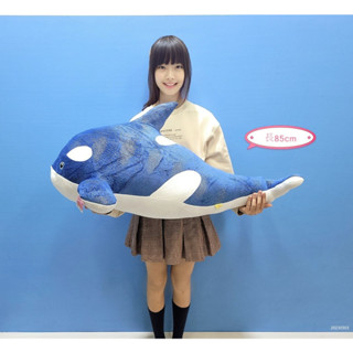 【星藍鯨大娃娃】星藍鯨 娃娃抱枕 藍鯨 大鯨魚 抱枕娃娃 星鯨 鯨魚 鯨魚抱枕 鯨魚大娃娃 藍鯨 鯊魚 藍鯊