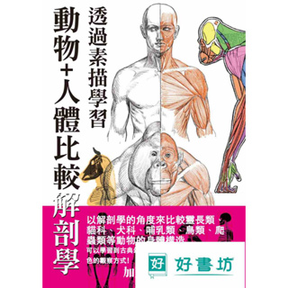透過素描學習 : 動物+人體比較解剖學/加藤公太、小山晋平