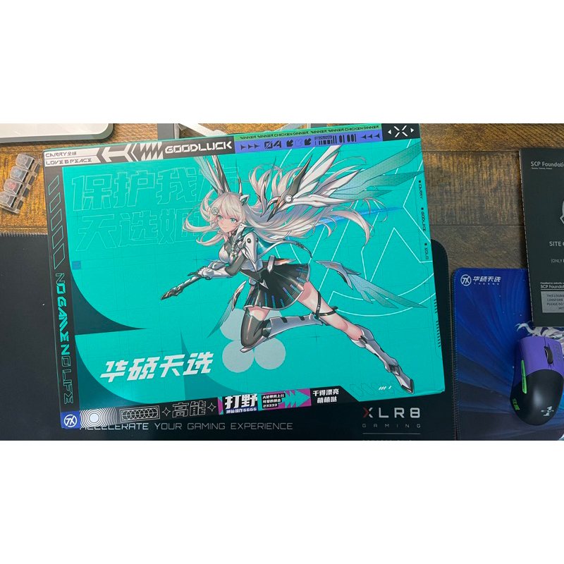 《筆電熊》2024 華碩 ASUS TUF Gaming A15 天選四五（R9-7940HX,RTX4060) 天選5