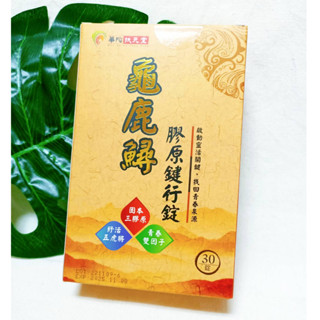 (現貨) 華陀龜鹿鱘膠原錠 龜鹿鱘膠原健行錠 (30錠/盒) 龜鹿鱘膠原鍵行錠 華陀扶元堂