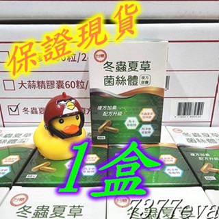 台糖冬蟲夏草菌絲體複方膠囊 60粒x1盒 有效日期2025年10月 保證現貨！台糖生技保健食品 冬蟲 另售台糖寡糖乳酸菌