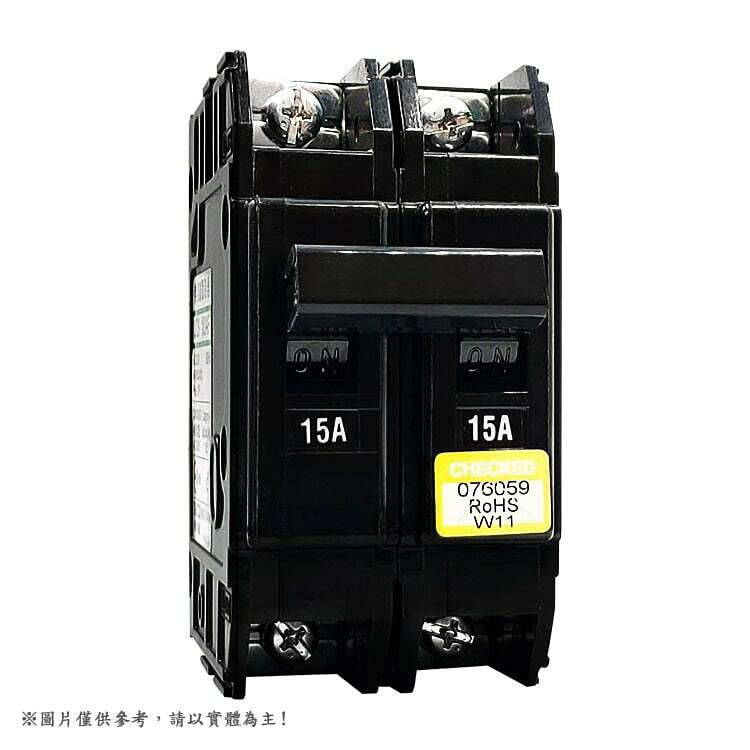 含發票 東元 QCE 100AF 無熔絲斷路器 無熔絲開關 2P 15A  20A 30A 40A 50A 60A