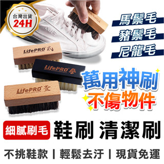 MINIPRO 鞋刷 馬毛刷 豬毛刷 清潔刷 刷子 除塵刷 洗鞋刷 洗鞋機【買就送洗鞋慕斯、萬物好刷 臺灣現貨免運】