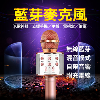 🏆全年無休 天天出貨🏆臺灣認證現貨發票保固🏆藍芽麥克風 K歌神器 行動KTV 喇叭 K歌麥克風 安博麥克風 電視盒麥克風
