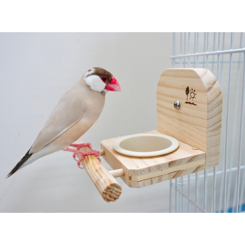 《嘟嘟鳥寵物》日本Sanko 鳥用天空餐廳 882 鸚鵡 文鳥 食盆 飼料盒 食皿
