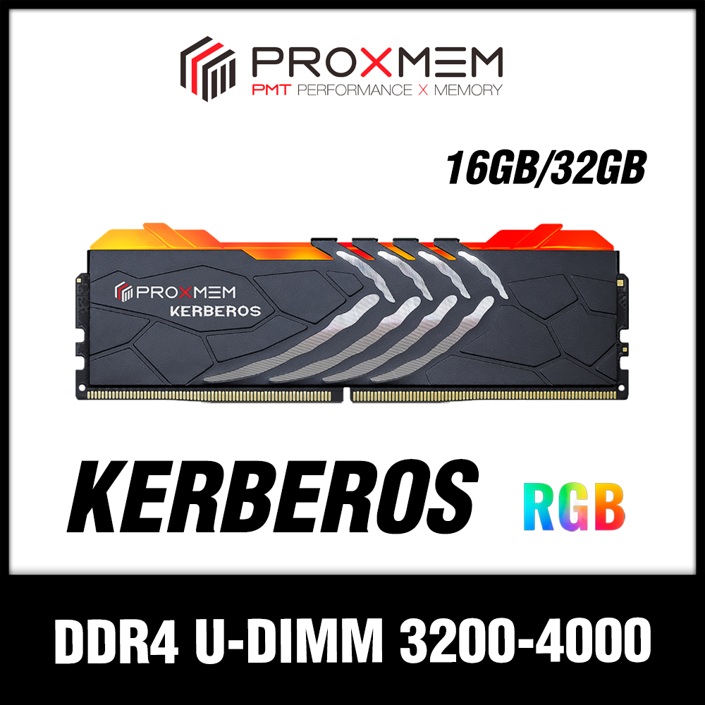 博德斯曼 KERBEROS 地獄犬RGB系列 DDR4 3200-4000 16GB/32GB 桌上型超頻記憶體