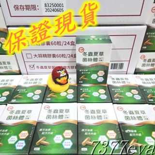 臺糖冬蟲夏草菌絲體複方膠囊 60粒/盒 有效日期2026年5月 臺糖生技 多件優惠 另售臺糖寡糖乳酸菌