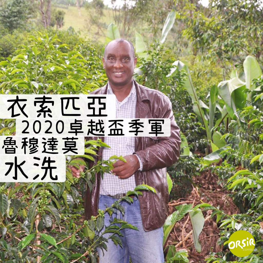 【COE咖啡豆】衣索匹亞 2020卓越盃季軍 魯穆達莫 水洗【ORSiR 歐舍咖啡】