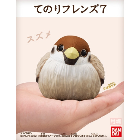日本 BANDAI 正版盒玩 小鳥 掌上好朋友 7 第七彈 單售 05 麻雀 全新未拆 鸚鵡 鳥
