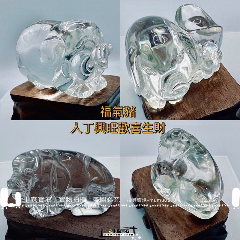 中森寶石🔮純天然激光白水晶 白水晶 雕刻 福氣豬 如意豬 財富豬 巴西白水晶 全美水晶 水晶擺件 招財豬 轉運豬