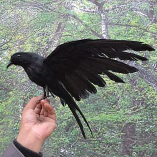臺灣現貨⚫高模擬烏鴉 28cm展翅款 逼真烏鴉模型 暗黑系萬聖節拍攝道具 外拍攝影 獵奇恐怖風 cosplay 烏鴉