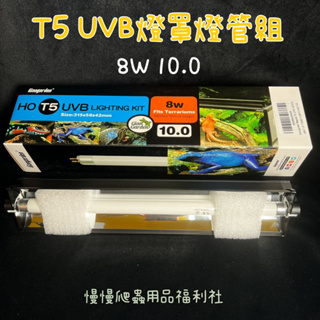 《慢慢爬》巨人 T5 8W UVB10.0 一尺 紫外線燈具 UVB 燈罩燈管組 補鈣 太陽 紫外線 燈罩 燈泡 燈管