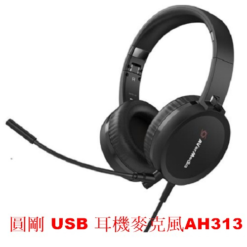 [萬商雲集]全新品 圓剛 USB 耳機麥克風 耳罩式 AH313 黑