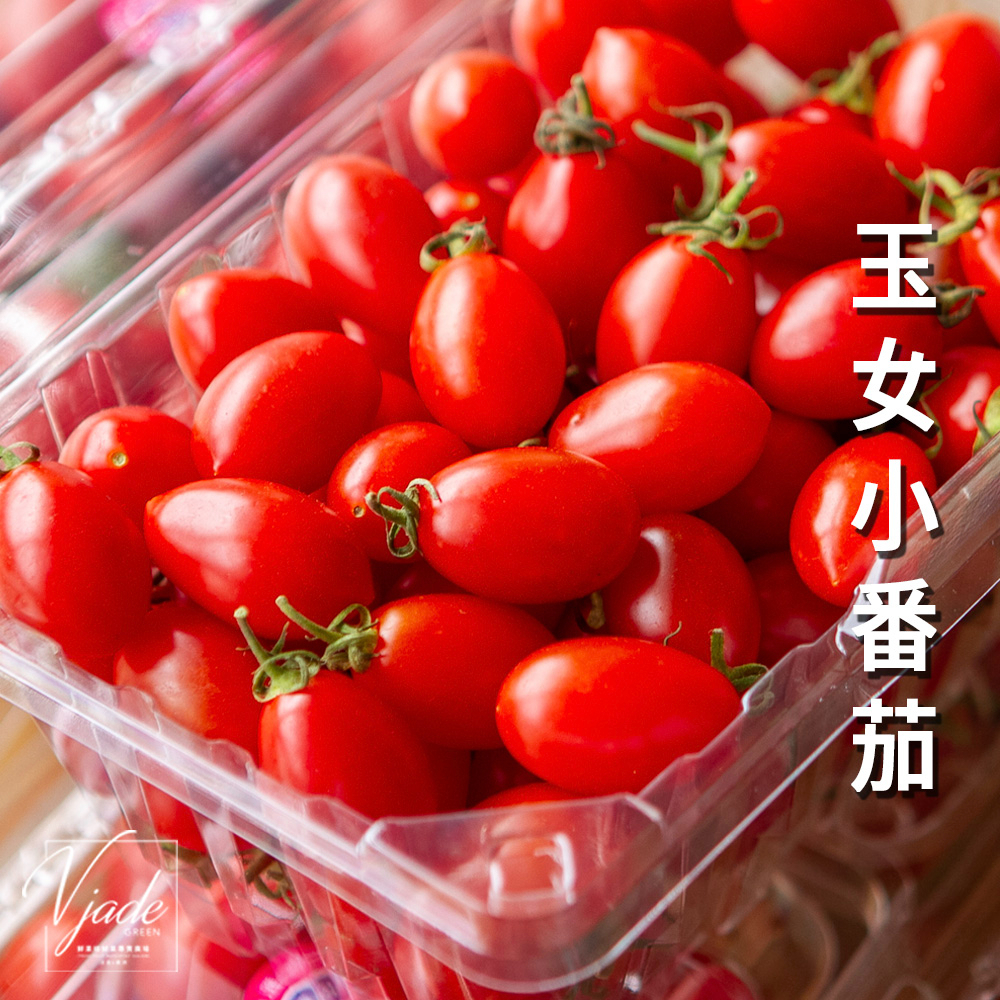 玉女番茄Jade girl tomato 台灣 1盒 口感圓潤 番茄汁 番茄蛋 鮮果綠 快速出貨 品質保證