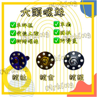 🔱 Mr king 🔱鍍鈦大頭螺絲 前後土除 車廂 防燙蓋 面板 腳踏螺絲 大牌 多功能螺絲 車牌框 鍍金 鍍銀 鍍鈦