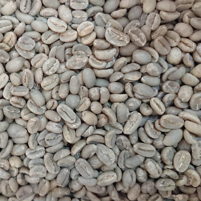 衣索比亞 耶家雪夫 科切爾水洗咖啡生豆 1KG (未烘焙)
