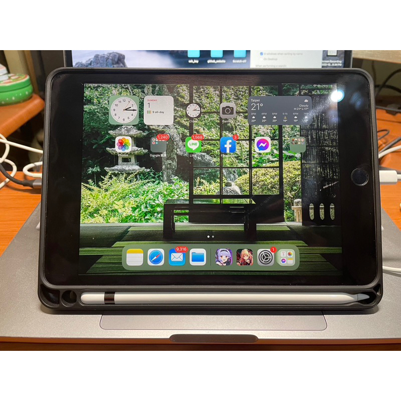 iPad mini 5 256G