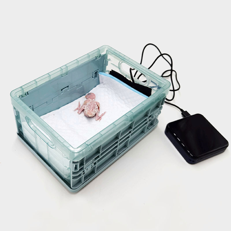 鸚鵡保溫箱鸚鵡專用手養保溫箱幼鳥保溫箱恒溫
