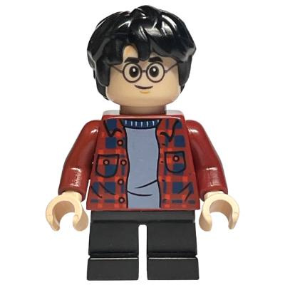 LEGO 樂高 人偶 Harry Potter 哈利波特 Harry Potter 75968