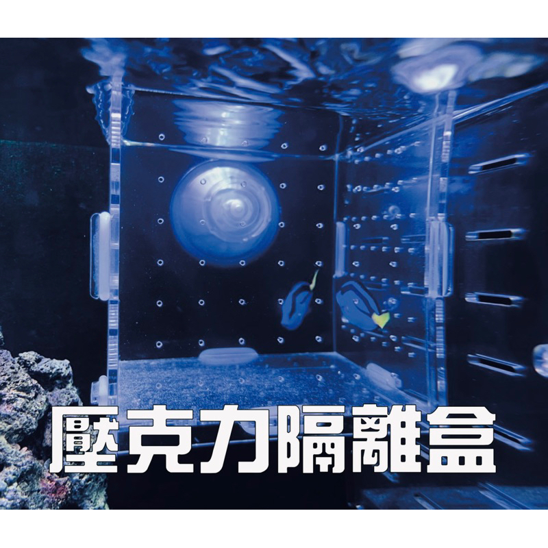 [Ojisan]全尺寸魚缸 壓克力隔離盒 極致黑 典雅白 吸盤壁掛兩款