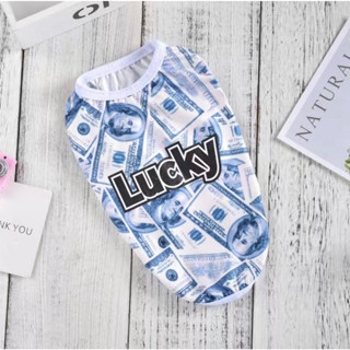 【多多的店】現貨 寵物用品 XS-3L 狗狗衣服 寵物用品 狗背心 夏季新款 防掉毛 狗衣服 中型犬 小型犬 中小型犬